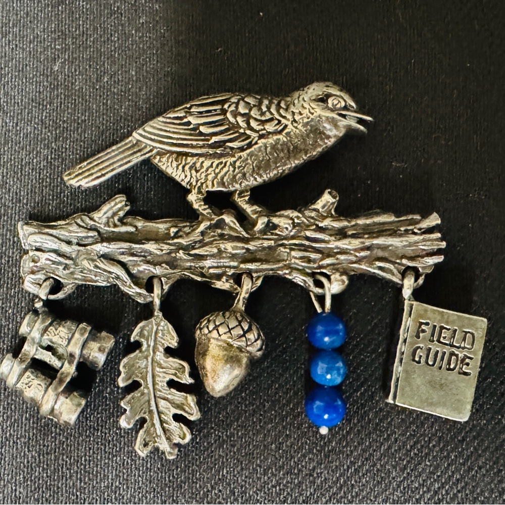 The Nature Company Sterling Silver Bird Watching Brooch with Blue Accents